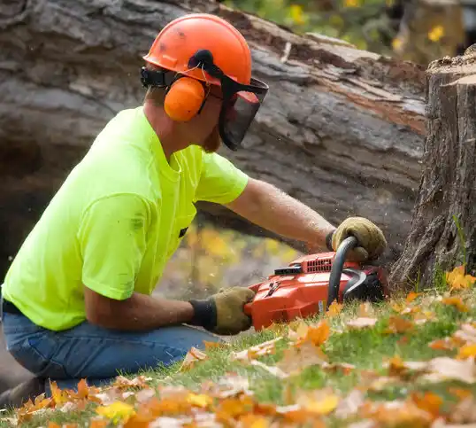 tree services Missouri